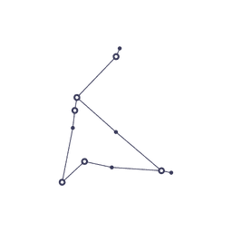 PE-Backed Consulting Firm - AI Leadership Team